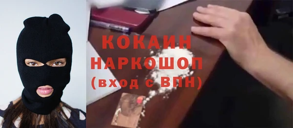 гашик Алексин