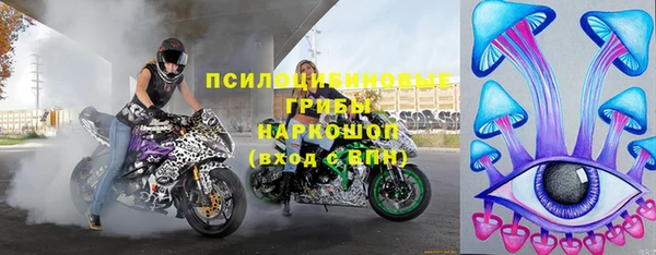 гашик Алексин