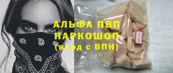 гашик Алексин