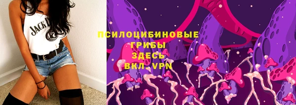 гашик Алексин